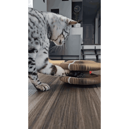 gif — GriffoBille™ – Griffoir en Carton Ondulé avec Balle pour Chat
