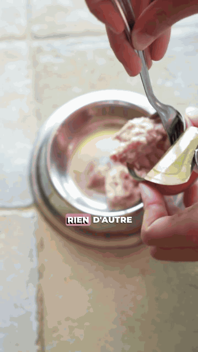gif — Multipack Filets 6 Saveurs pour Chat – FelinRégal™