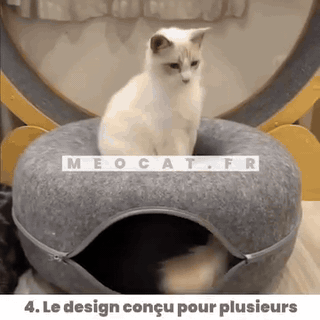 gif — CoconChat™ – Tunnel-Nid pour Chat, Repaire Douillet et Ludique