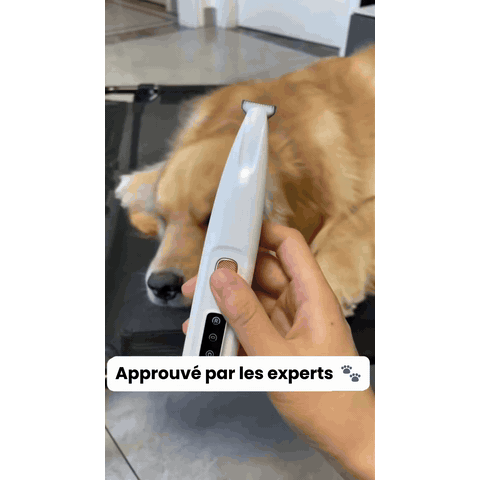 gif — NetPattes™ – Tondeuse Silencieuse pour Pattes de Chien