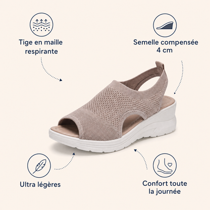 infographie
