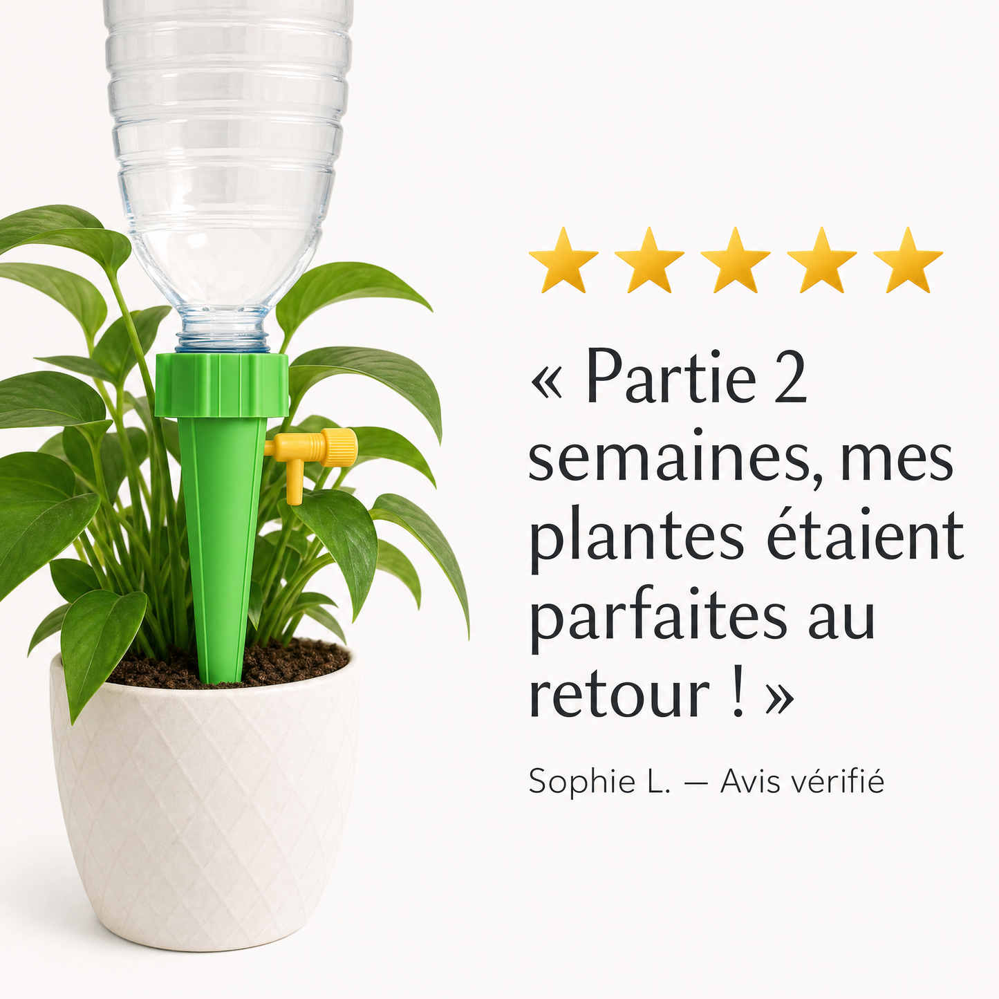 Pics d'Arrosage Automatique Goutte-à-Goutte pour Plantes