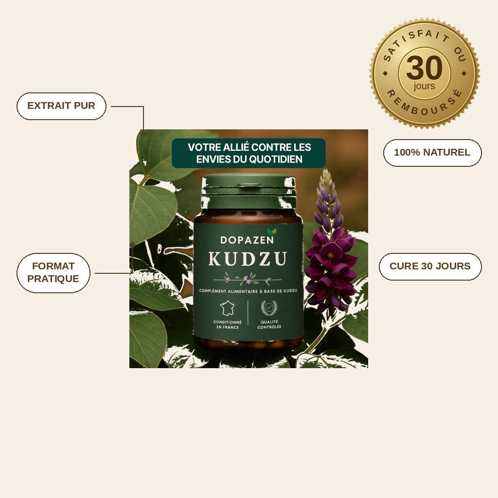 infographie — KudzuZen™ – Extrait de Racine de Kudzu, 40 mg d'Isoflavones