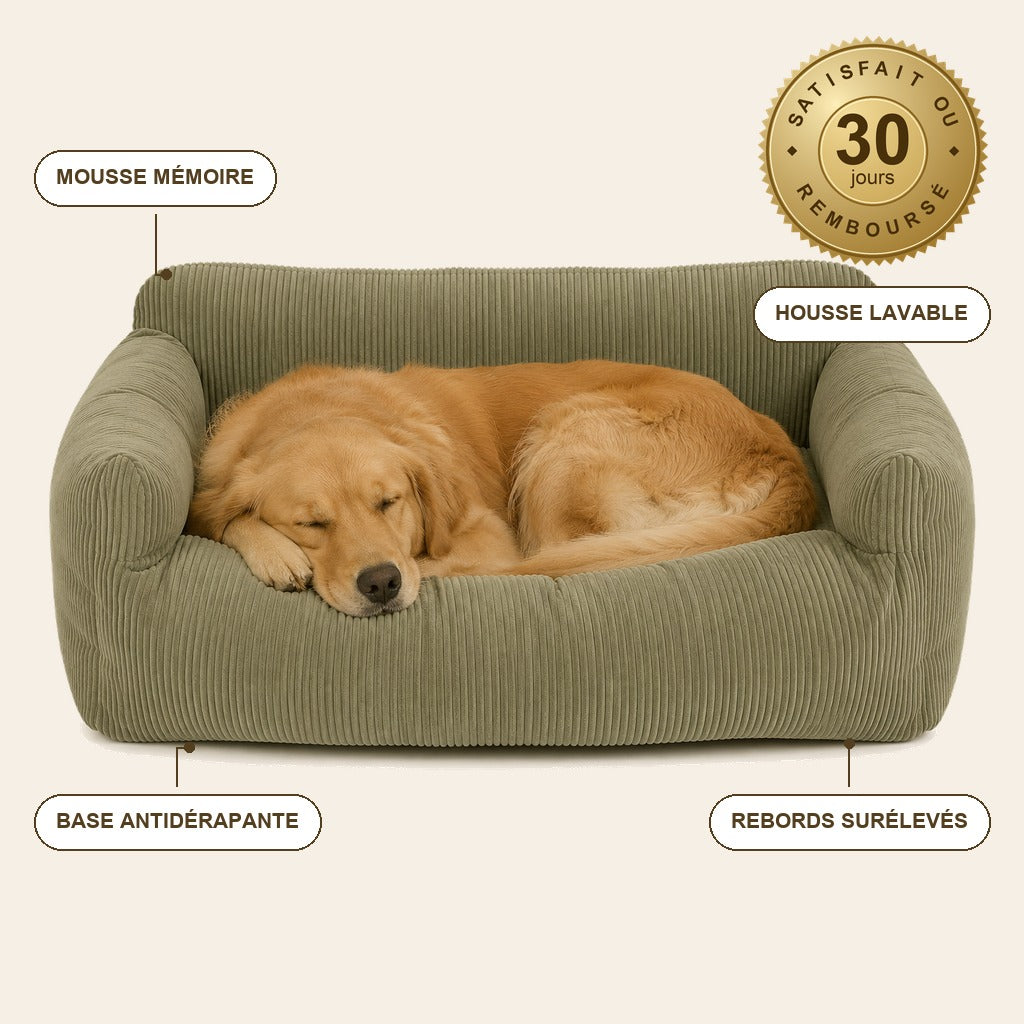 infographie — Panier Orthopédique Confort Total pour Chien