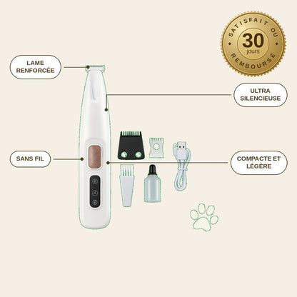 infographie — NetPattes™ – Tondeuse Silencieuse pour Pattes de Chien