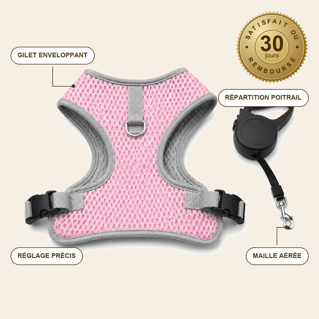 FelinGo™ – Harnais Anti-Fugue pour Chat avec Laisse