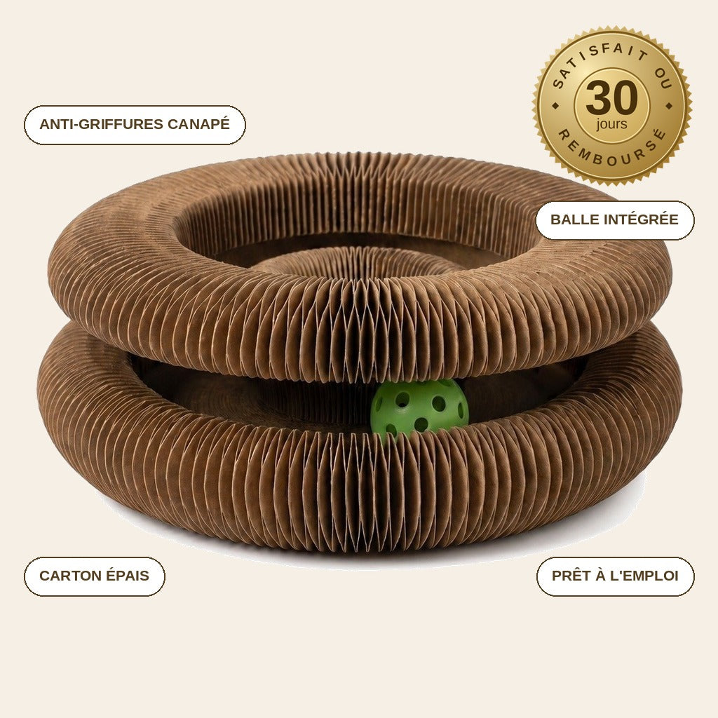infographie — GriffoBille™ – Griffoir en Carton Ondulé avec Balle pour Chat