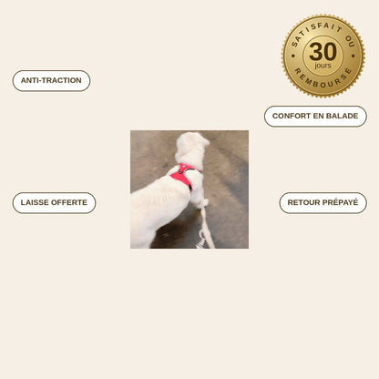 CalmPas™ – Harnais Chien Anti-Traction