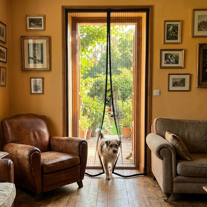 Un chien traverse seul la moustiquaire magnetique de porte