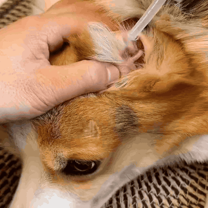 Nettoyant Auriculaire Naturel pour Chiens & Chats