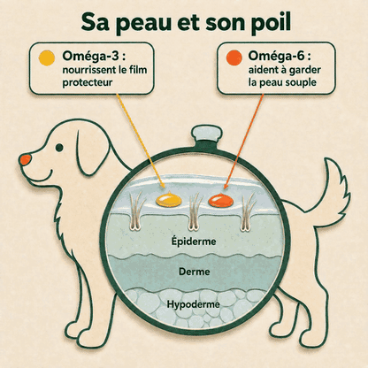 Friandises Naturelles Immunité & Anti-Démangeaisons pour Chien