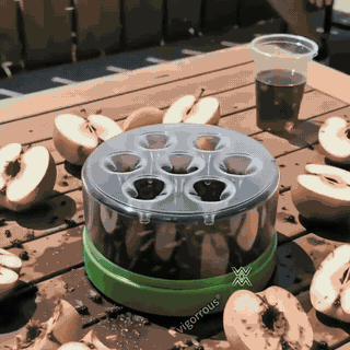 phx-moucherons-demo.gif