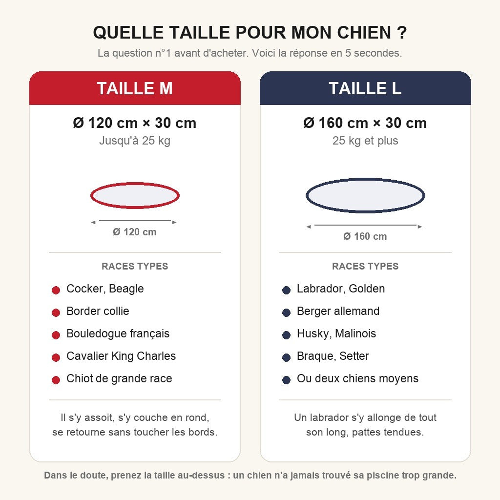 Quelle taille pour mon chien : guide M et L