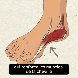 PodaFlex™ – Semelles Orthopédiques Fasciite Plantaire