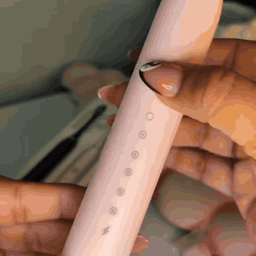 sec_brosse_gif1