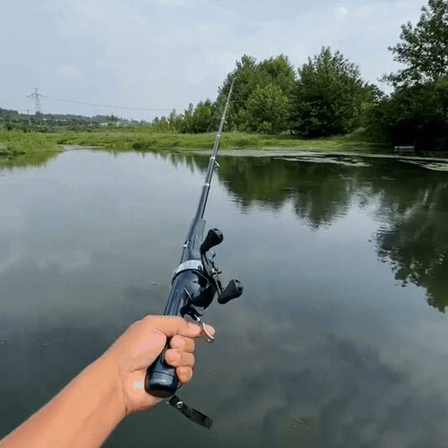 Ensemble Canne à Pêche Pliable