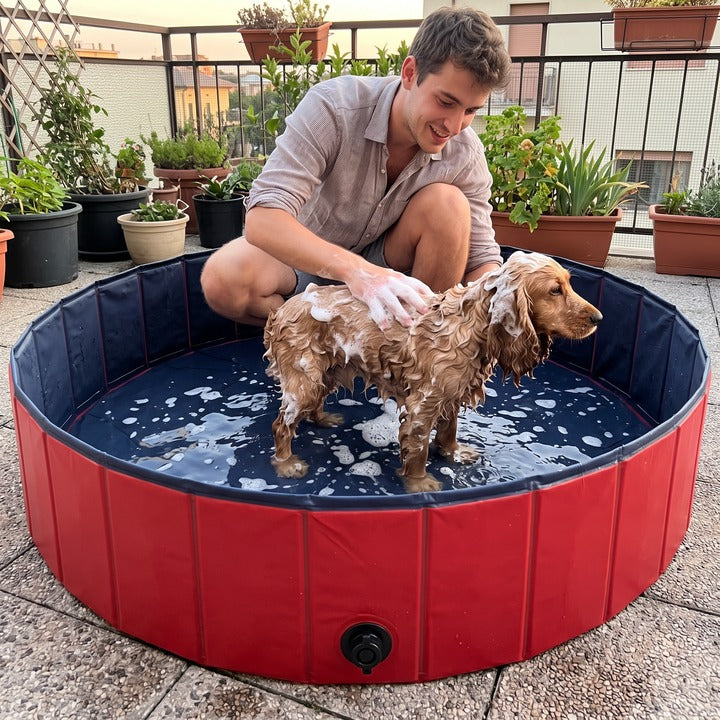 Bain du chien dans la piscine sur une terrasse