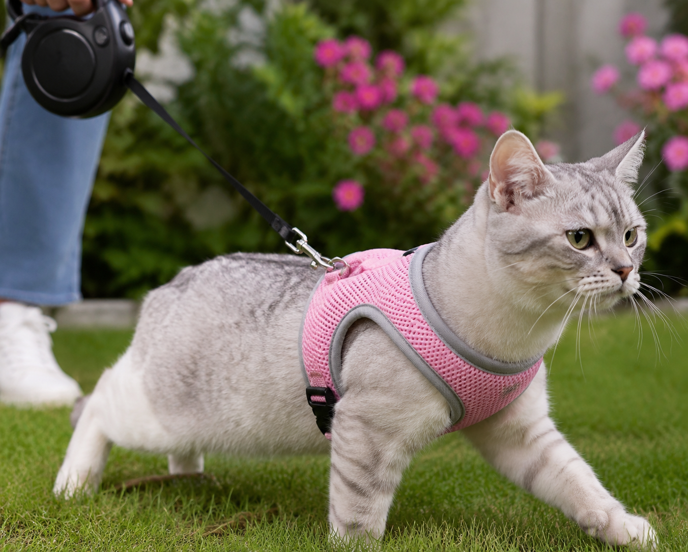 FelinGo™ – Harnais Anti-Fugue pour Chat avec Laisse