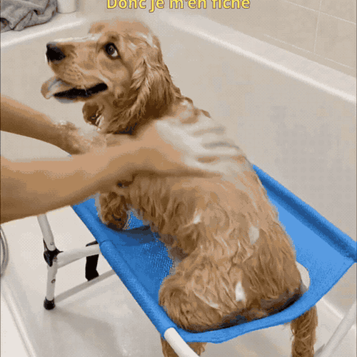 Table de Toilettage Pliable 2-en-1 pour Animaux