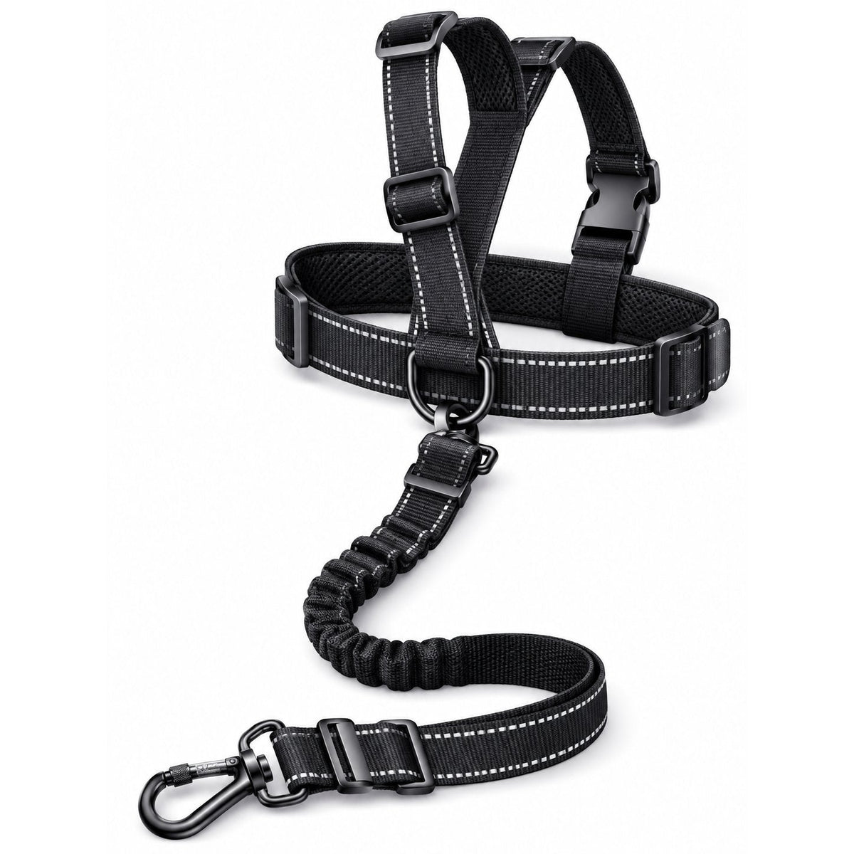 packshot — Ceinture de Sécurité Voiture pour Chien