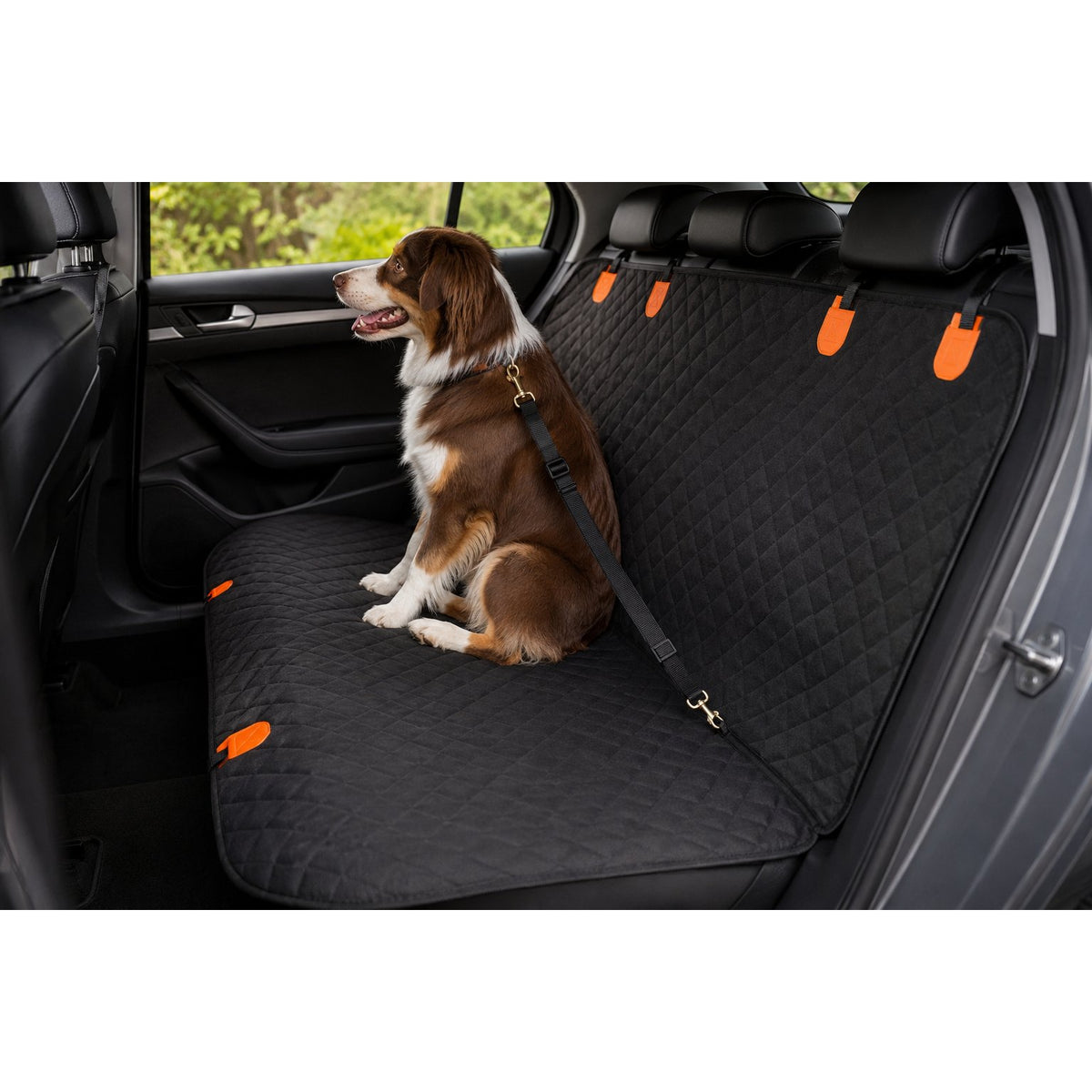 pawshield-housse-de-protection-si-ge-auto-pour-chi-417-section1